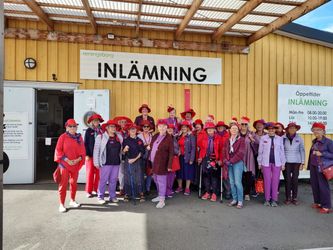 Fotograf Liselotte Nattviol 