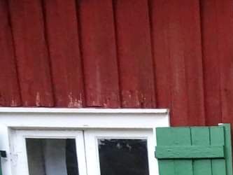 2022 års bukett av poetiska damer.